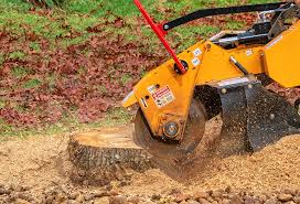Best Lawn Pest Prevention  in Washington, UT